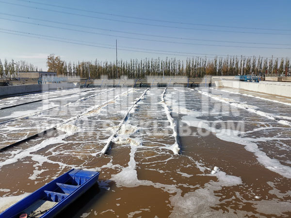 內(nèi)蒙污水處理廠懸掛鏈曝氣器安裝現(xiàn)場