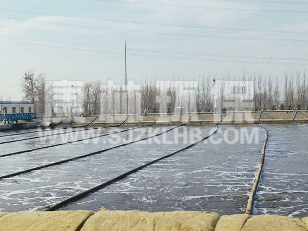 內(nèi)蒙污水處理廠懸掛鏈曝氣器安裝現(xiàn)場